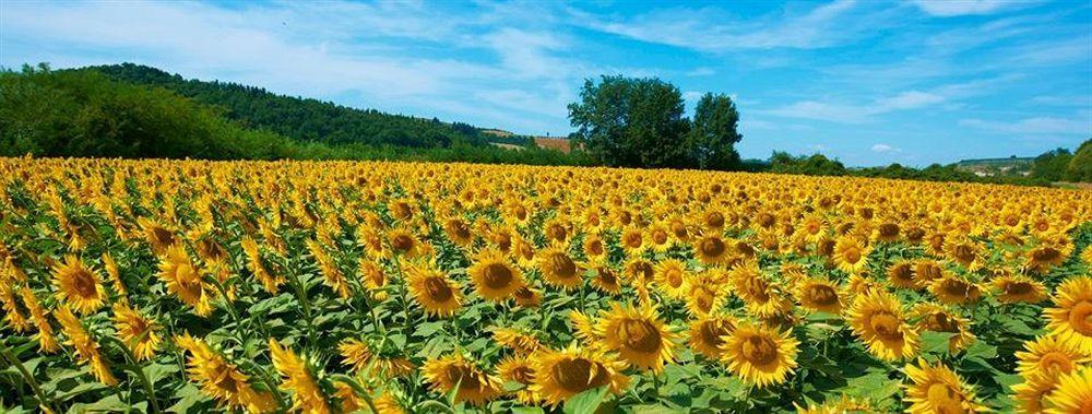 Hotel La Tabaccaia Montaione Zewnętrze zdjęcie